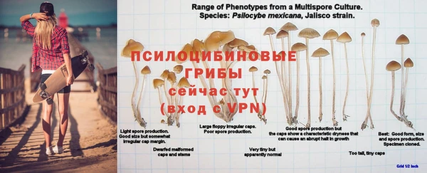 мяу мяу мука Аркадак