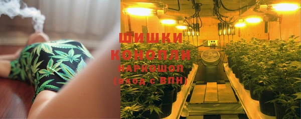 мяу мяу мука Аркадак