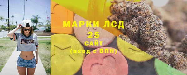 мяу мяу мука Аркадак