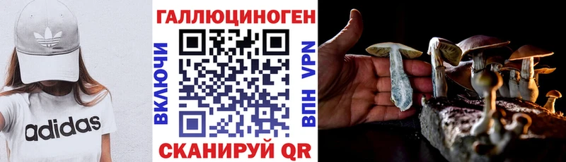 Купить  Пикалёво  Псилоцибиновые грибы прущие грибы 