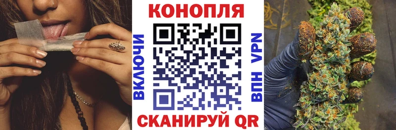 Купить где  Пикалёво  Бошки Шишки семена 